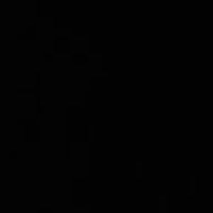 Meet your Posher, Vira